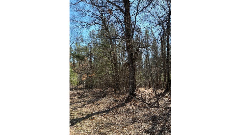 Lot 2 Black Creek Road Fairchild, WI 54741 by Woods & Water Realty Inc/Regional Office $79,900