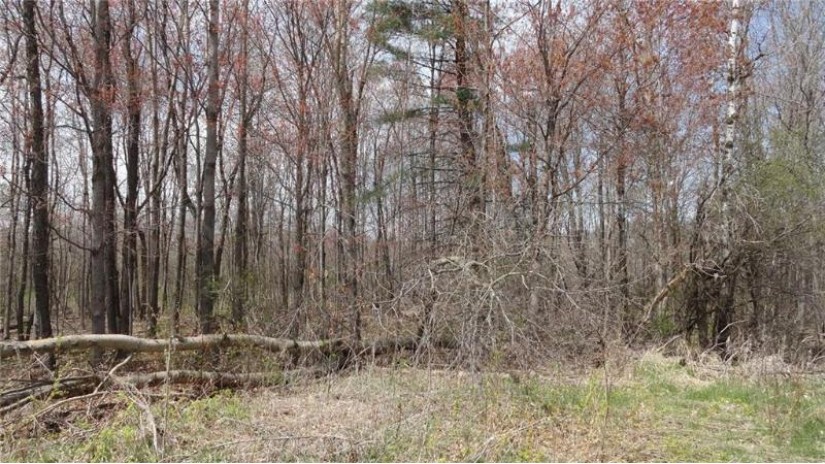 Lot 19 47th Ave Eau Galle, WI 54737 by Coldwell Banker Realty Hds $24,900