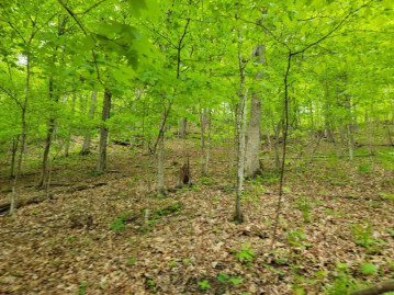 40+30 ACRES Pine Avenue, Union, WI 53536