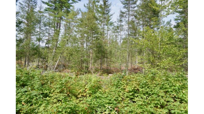 On Zachs Ln Lot 1 Conover, WI 54519 by Century 21 Burkett & Assoc. $20,000