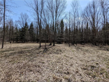 Lot 0 County Hwy W, Holcombe, WI 54745