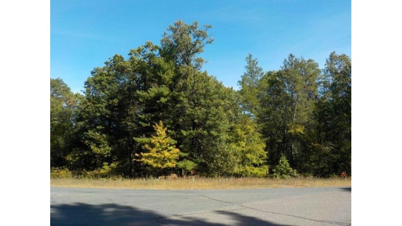 24410 Borg Road Grantsburg, WI 54840 by Parkside Realty $28,900