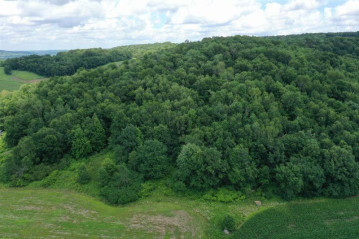 55 ACRES +/- Sparks Hill Rd, Cazenovia, WI 53924