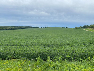 97+/- AC Jargo Rd, Cottage Grove, WI 53531