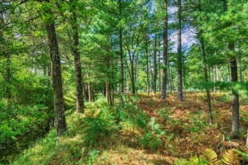 40 ACRES County Road H, Cutler, WI 54618