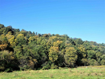 21.62 Acres Hudson Hollow, Ellenboro, WI 53813