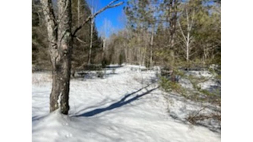 Badger Ranch Road Big Valley Lot 5 White Lake, WI 54491 by North Central Real Estate Brokerage, Llc $18,890