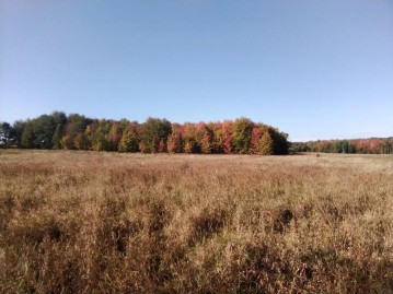 39.06 Acres County Road H, Junction City, WI 54443