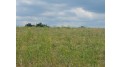 LOT 597 Dike Ct Woodland, WI 53941 by NextHome Prime Real Estate $6,500