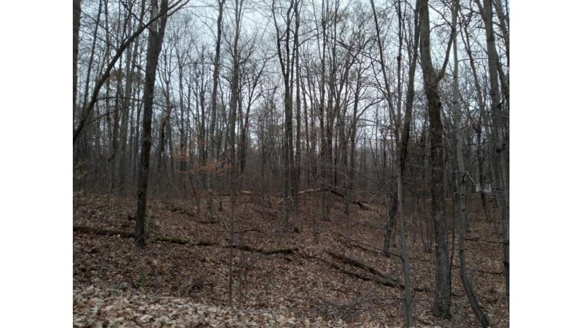 Lot 0 John Ericcson Avenue Hayward, WI 54843 by C21 Woods To Water $7,500