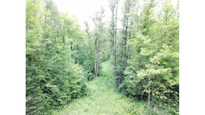 40 Acres Circle Road Glen Flora, WI 54526 by Cb Northern Escape/Ladysmith $79,000