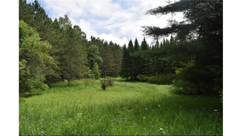 00 County Road D/Marten Rd Mattoon, WI 54450 by Landguys, Llc Of Wisconsin $159,900