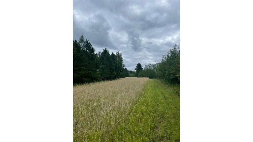 48.86 Acres Okerlund Rd Webster, WI 54893 by Benson Thompson Inc $149,900