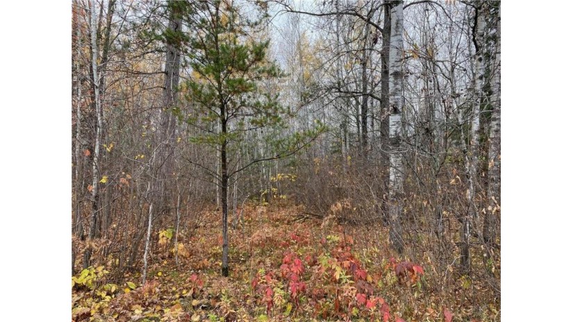 Lot 1 Highway 63 Hayward, WI 54843 by Woodland Developments & Realty $99,000