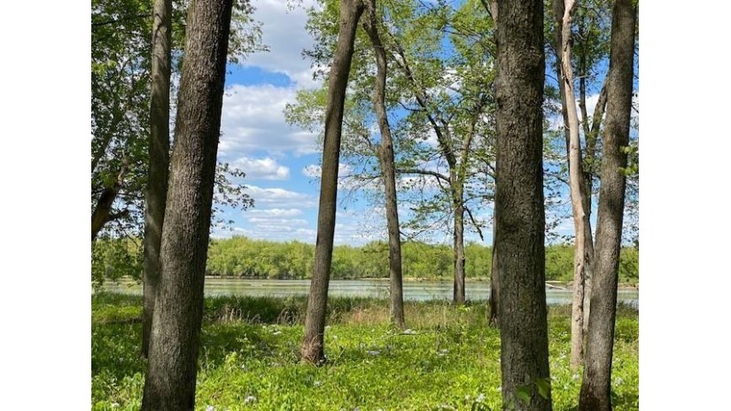APPROX 146.5 AC County Road C Wyoming, WI 53588 by Potterton Rule Real Estate Llc - Off: 608-935-2396 $350,000