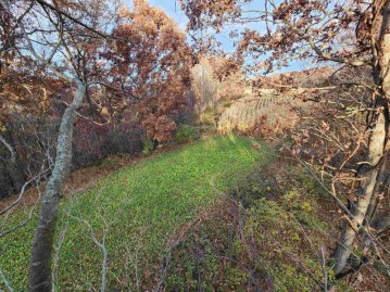 120 ACRES +/- Bennett Ln, Ithaca, WI 53581