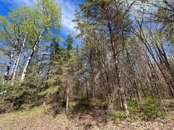 20 Ac South Dr, Hurley, WI 54534