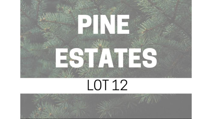 LI2/B1 Pine Estates Caledonia, MN 55921 by Cindy Gerke & Associates $19,900