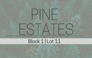 L11B1 Pine Estates, Caledonia, MN 55921-0000