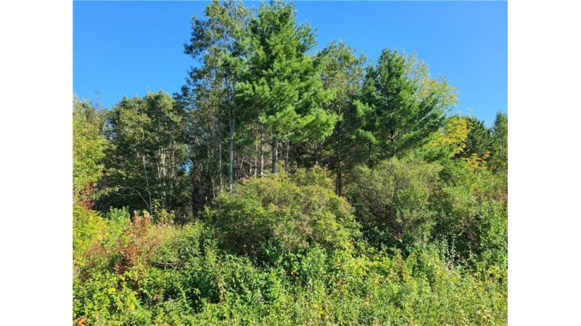 Lot 2 292nd Street Woodville, WI 54028 by Edina Realty, Corp. - Hudson $99,000