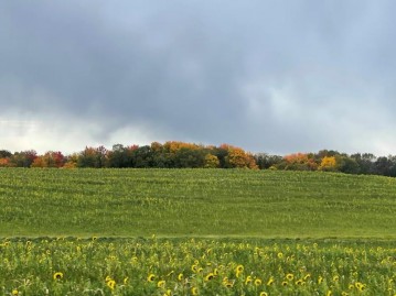 PARCELS # 1 & 2 Sky View Dr, Franklin, WI 53943