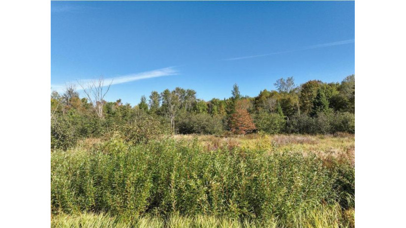 0 Pleasant Ridge Rd Weyerhaeuser, WI 54895 by Nwwi, Llc $109,000