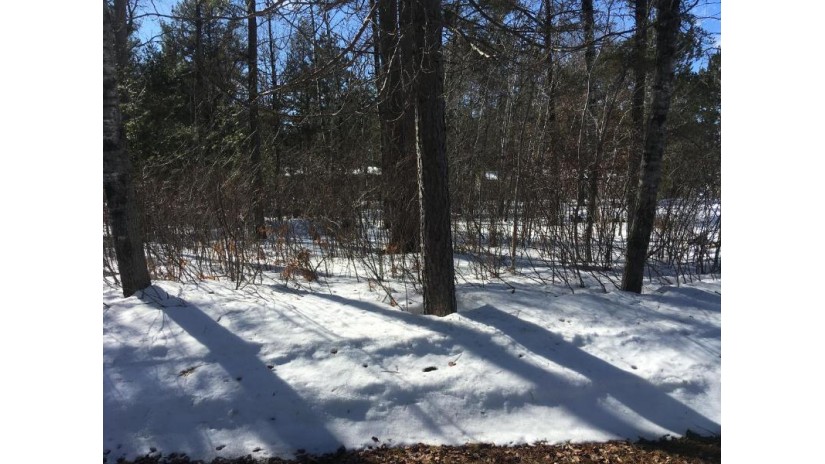 Lot 9 Primrose Ln St Germain, WI 54558 by Eliason Realty - St Germain $9,000