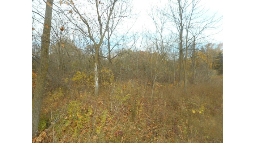 LT0 Big Bend Rd Waterford, WI 53185 by Mel Wendt Realty, Inc. $129,900