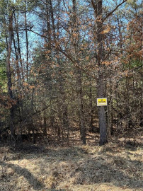 Lot 3 Black Creek Road, Fairchild, WI 54741