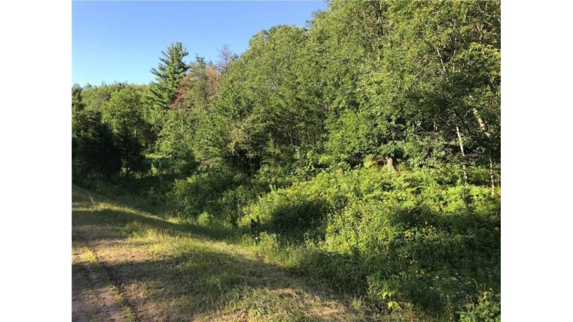 Lot 8 Bean Brook Lane Stone Lake, WI 54876 by Coldwell Banker Real Estate Consultants $45,000