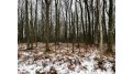 LOT 1032 Blue Ridge Woodland, WI 53941 by Gavin Brothers Auctioneers Llc - Off: 608-524-6416 $11,900