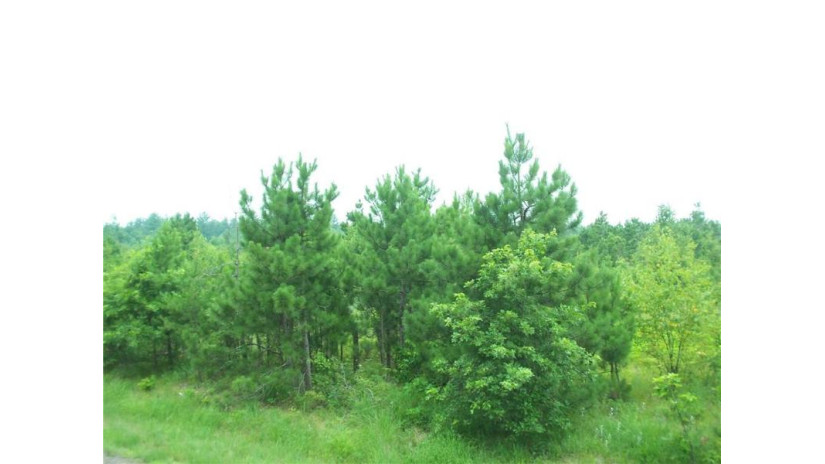 Lot 3 Black Brook Road Webster, WI 54893 by Lakeside Realty Group $30,000