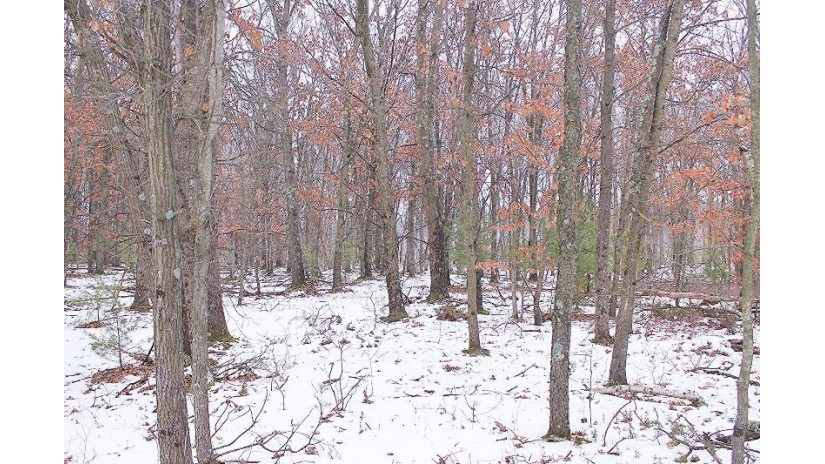 16.6 ACRES Deer Run Packwaukee, WI 53949 by First Weber Inc - HomeInfo@firstweber.com $99,900