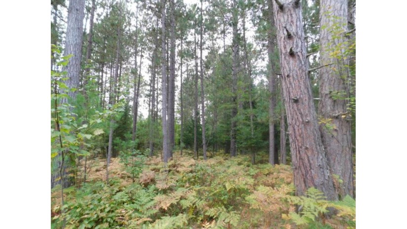 Lot 26 Mccarthy Lake Rd Wilson, WI 54487 by Century 21 Best Way Realty $19,900