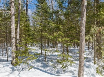 4.61 Ac Cth K, Plum Lake, WI 54560