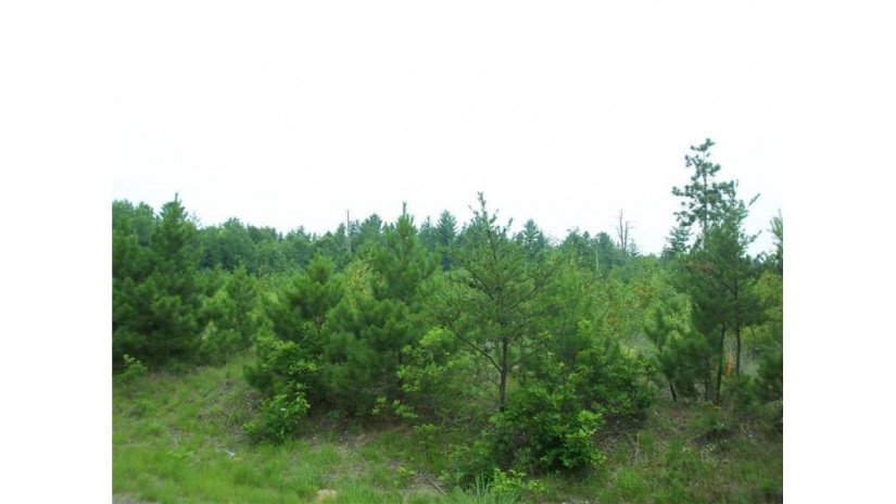 Lot 1 Black Brook Road Webster, WI 54893 by Lakeside Realty Group $28,000