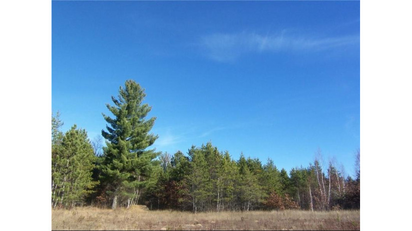 Lot #9 Ashtons Trail Webster, WI 54893 by Lakeside Realty Group $55,000