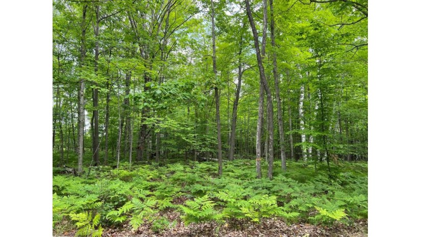 LOT 1 Maple Valley Dr Fish Creek, WI 54212 by Cb  Real Estate Group Egg Harbor - 9208682002 $71,000