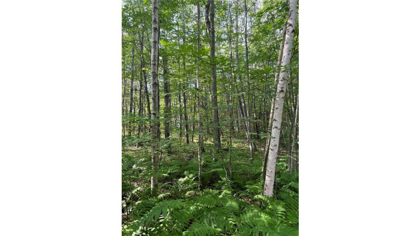 Lot 3 Fosmo Webster, WI 54893 by Parkside Realty $27,000