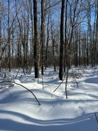 0 Rabbit Run, Ojibwa, WI 54862