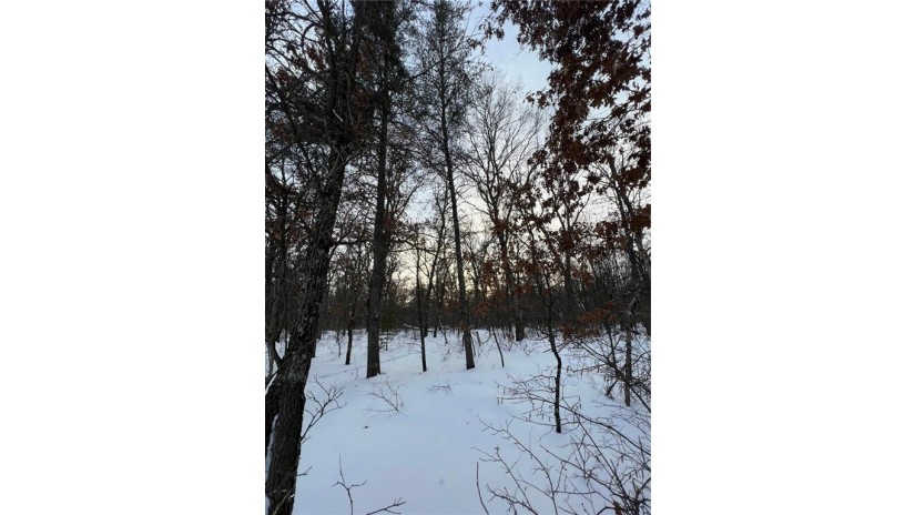 0000N Borg Road Grantsburg, WI 54840 by Local Realty $58,000