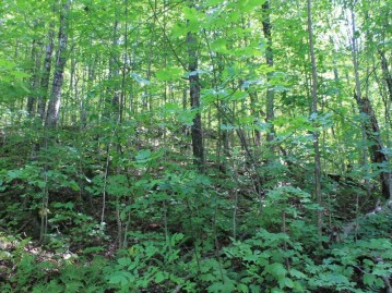 Lot 24 Alpine Shores Dr, Anderson, WI 54565