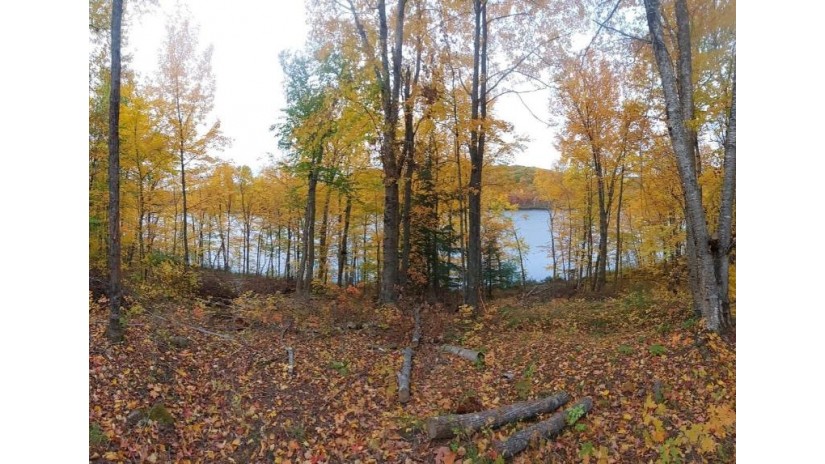 Lot 5&6 Alpine Shores Dr Upson, WI 54565 by First Weber - Minocqua $69,900