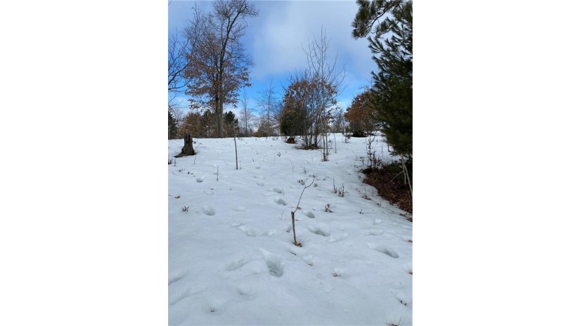 Lot 43 Treasure Island Drive Danbury, WI 54830 by Keller Williams Premier Realty/Vadnais $15,900