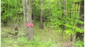 LOT 2 350th Ave Avenue Frederic, WI 54837 by Woods & Water Real Estate Llc, Ellsworth $44,900