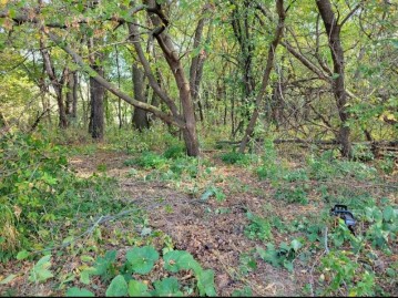 4.35 AC County Road W, Christiana, WI 53589