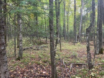 LT0 Bear Paw Rd, Amberg, WI 54102