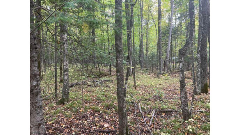 LT0 Bear Paw Rd Amberg, WI 54102 by North Country Real Est $19,000