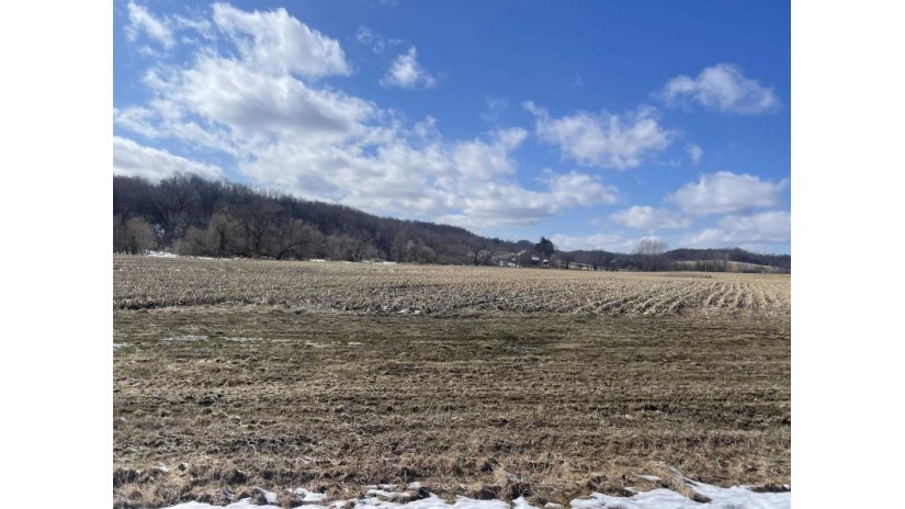 31.15 ACRES Sand Hill Road Westfield, WI 53943 by Gavin Brothers Auctioneers Llc - Off: 608-524-6416 $266,332