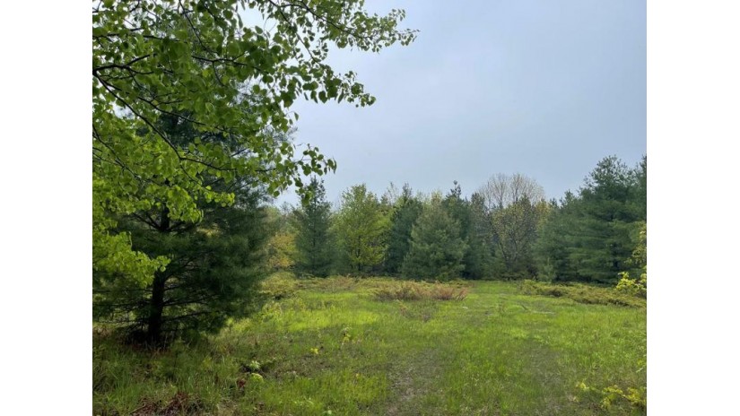 TBD Hwy 42 Fish Creek, WI 54212 by Kellstrom-Ray Agency - 9208542353 $89,900